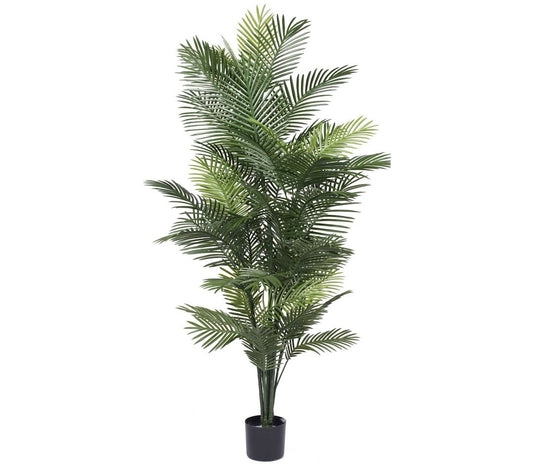 Vickerman 72" Robellini Palm Tree